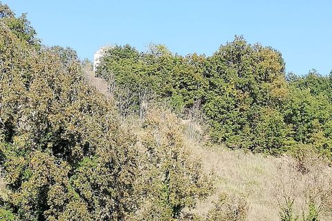Landejendom i Monteodorisio, Chieti, Monteodorisio - € 40.000 | Ref: MRL - foto 24