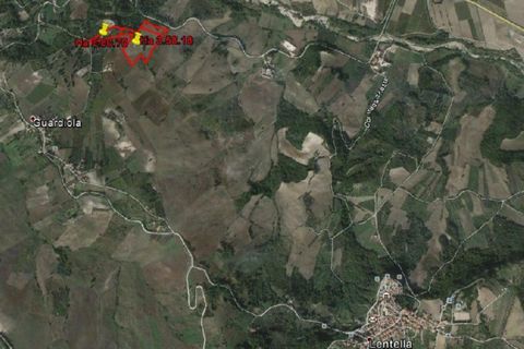 Terra a Lentella, Chieti, Lentella - € 8.000 | Ref: TA48 - foto 4
