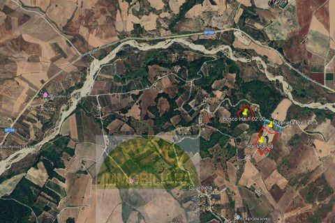 Terra a Lentella, Chieti, Lentella - € 8.000 | Ref: TA48 - foto 3