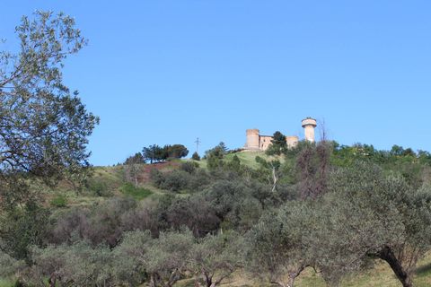 Terra a Monteodorisio, Chieti, Monteodorisio - € 18.000 | Ref: TA61 - foto 2