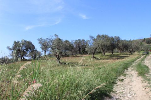 Terra a Monteodorisio, Chieti, Monteodorisio - € 18.000 | Ref: TA61 - foto 3