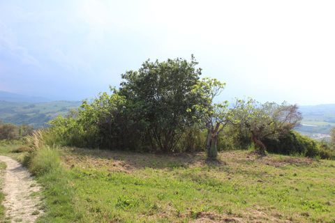 Terra a Monteodorisio, Chieti, Monteodorisio - € 18.000 | Ref: TA61 - foto 7