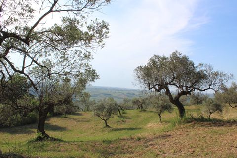 Terra a Monteodorisio, Chieti, Monteodorisio - € 18.000 | Ref: TA61 - foto 10