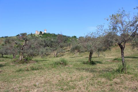 Terra a Monteodorisio, Chieti, Monteodorisio - € 18.000 | Ref: TA61 - foto 13
