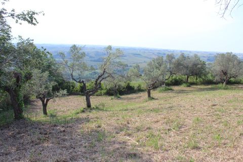 Terra a Monteodorisio, Chieti, Monteodorisio - € 18.000 | Ref: TA61 - foto 17