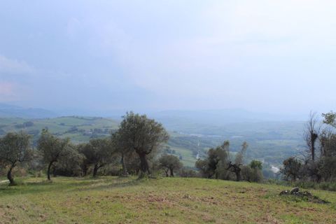 Terra a Monteodorisio, Chieti, Monteodorisio - € 18.000 | Ref: TA61 - foto 19