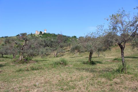 Terra a Monteodorisio, Chieti, Monteodorisio - € 18.000 | Ref: TA61 - foto 20