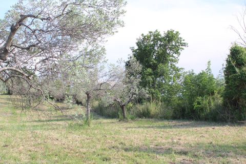 Terra a Monteodorisio, Chieti, Monteodorisio - € 18.000 | Ref: TA61 - foto 21