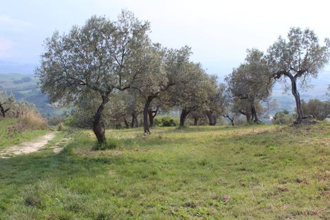 Terra a Monteodorisio, Chieti, Monteodorisio - € 18.000 | Ref: TA61 - foto 22