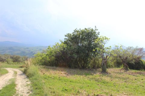 Terra a Monteodorisio, Chieti, Monteodorisio - € 18.000 | Ref: TA61 - foto 25