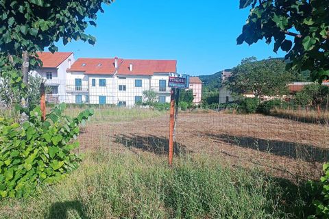 Terra a Palmoli, Chieti, Palmoli - € 18.000 | Ref: TE18 - foto 3