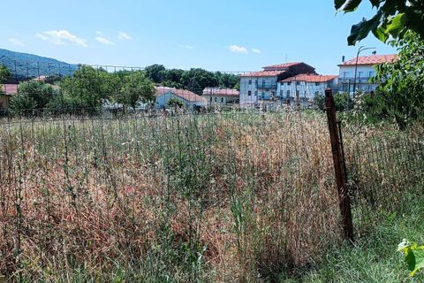 Terra a Palmoli, Chieti, Palmoli - € 18.000 | Ref: TE18 - foto 4