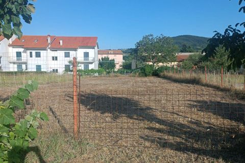 Terra a Palmoli, Chieti, Palmoli - € 18.000 | Ref: TE18 - foto 5