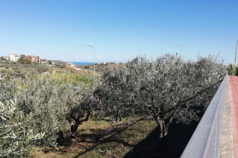 Terra a Cupello, Chieti, Cupello - € 33.000 | Ref: TE19 - foto 3