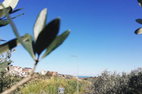 Terra a Cupello, Chieti, Cupello - € 33.000 | Ref: TE19 - foto 4
