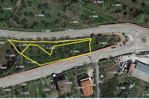 Terra a Cupello, Chieti, Cupello - € 33.000 | Ref: TE19 - foto 6