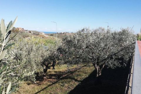 Terra a Cupello, Chieti, Cupello - € 33.000 | Ref: TE19 - foto 7