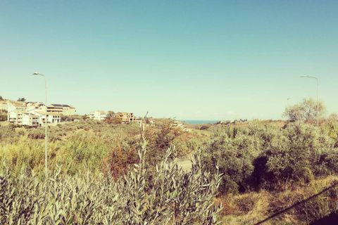 Terra a Cupello, Chieti, Cupello - € 33.000 | Ref: TE19 - foto 8