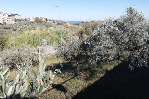 Terra a Cupello, Chieti, Cupello - € 33.000 | Ref: TE19 - foto 10