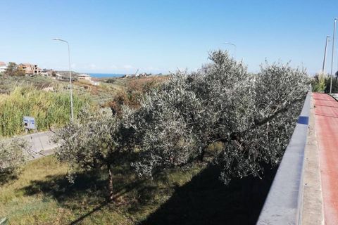 Terra a Cupello, Chieti, Cupello - € 33.000 | Ref: TE19 - foto 11