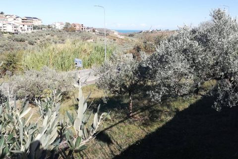 Terra a Cupello, Chieti, Cupello - € 33.000 | Ref: TE19 - foto 13