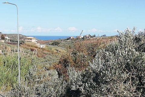 Terra a Cupello, Chieti, Cupello - € 33.000 | Ref: TE19 - foto 16