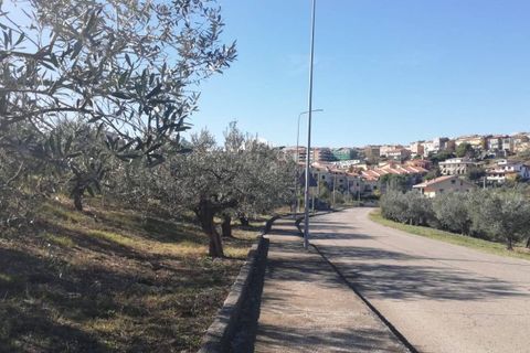 Terra a Cupello, Chieti, Cupello - € 33.000 | Ref: TE19 - foto 17