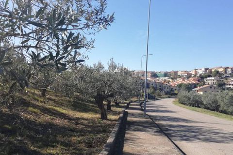 Terra a Cupello, Chieti, Cupello - € 33.000 | Ref: TE19 - foto 19