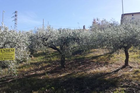 Terra a Cupello, Chieti, Cupello - € 33.000 | Ref: TE19 - foto 20