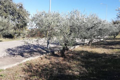 Terra a Cupello, Chieti, Cupello - € 33.000 | Ref: TE19 - foto 22