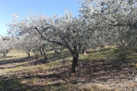 Terra a Cupello, Chieti, Cupello - € 33.000 | Ref: TE19 - foto 23