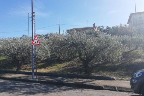 Terra a Cupello, Chieti, Cupello - € 33.000 | Ref: TE19 - foto 28