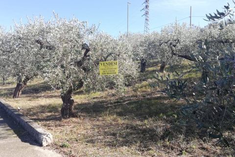 Terra a Cupello, Chieti, Cupello - € 33.000 | Ref: TE19 - foto 29