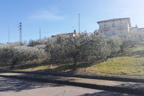 Terra a Cupello, Chieti, Cupello - € 33.000 | Ref: TE19 - foto 30