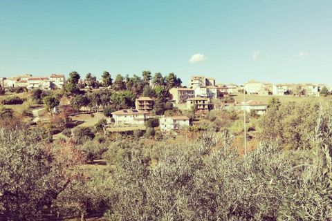 Terra a Cupello, Chieti, Cupello - € 33.000 | Ref: TE19 - foto 31