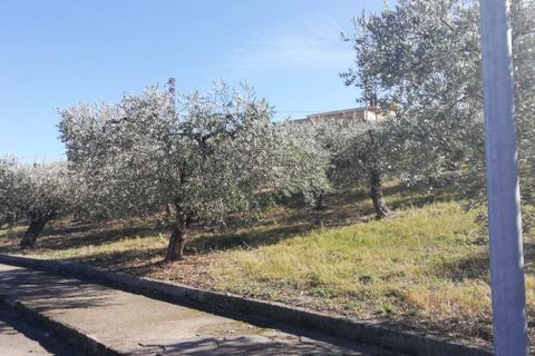 Terra a Cupello, Chieti, Cupello - € 33.000 | Ref: TE19 - foto 32