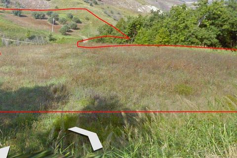 Terra a Cupello, Chieti, Cupello - € 11.800 | Ref: TA32 - foto 2