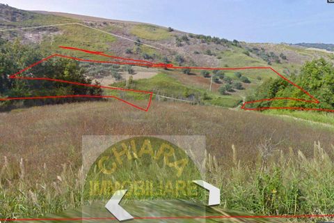 Terra a Cupello, Chieti, Cupello - € 11.800 | Ref: TA32 - foto 3