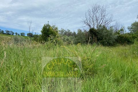 Landejendom i Cupello, Chieti, Cupello - € 45.000 | Ref: 161TR - foto 8