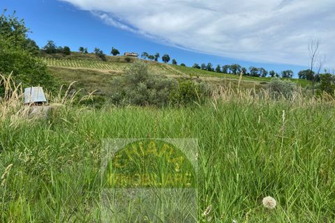 Landejendom i Cupello, Chieti, Cupello - € 45.000 | Ref: 161TR - foto 9
