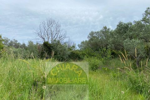 Landejendom i Cupello, Chieti, Cupello - € 45.000 | Ref: 161TR - foto 10