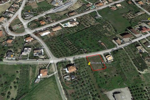 Terra a Cupello, Chieti, Cupello - € 48.000 | Ref: TE21 - foto 2