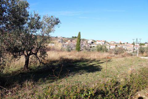 Terra a Cupello, Chieti, Cupello - € 48.000 | Ref: TE21 - foto 4