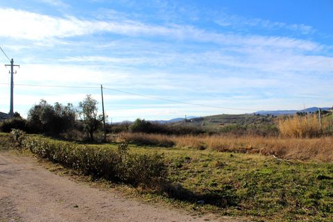 Terra a Cupello, Chieti, Cupello - € 48.000 | Ref: TE21 - foto 5
