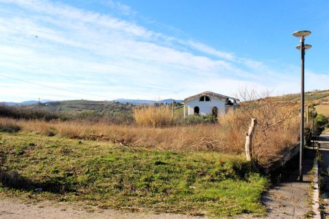 Terra a Cupello, Chieti, Cupello - € 48.000 | Ref: TE21 - foto 6