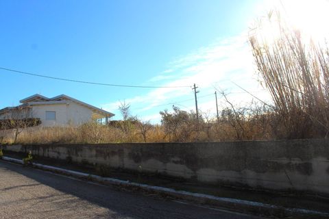 Terra a Cupello, Chieti, Cupello - € 48.000 | Ref: TE21 - foto 7