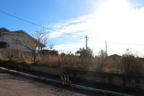 Terra a Cupello, Chieti, Cupello - € 48.000 | Ref: TE21 - foto 10