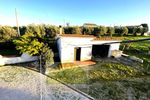 Villa a Gissi, Chieti, Gissi - € 98.000 | Ref: 505GS - foto 46