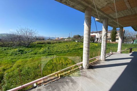 Villa a Cupello, Chieti, Cupello - € 225.000 | Ref: 167SL - foto 36