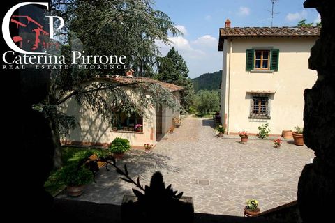 Landejendom i Dicomano, Florence, Dicomano - € 2.000.000 | Ref: AZ01 - foto 3